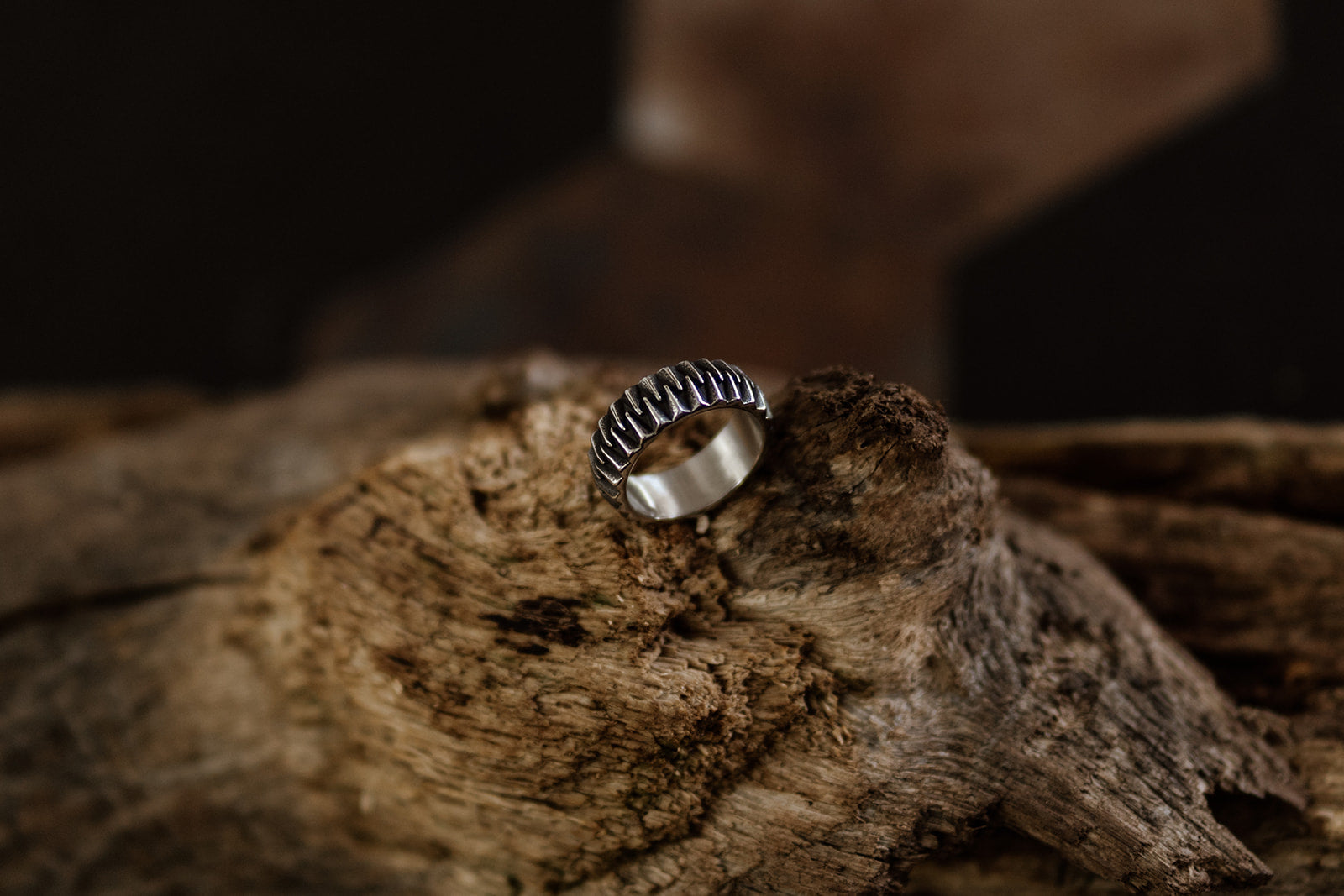 Dark Rings for Darkest Nights: Why Decorative Rings Make the Perfect Gothic Christmas Gift