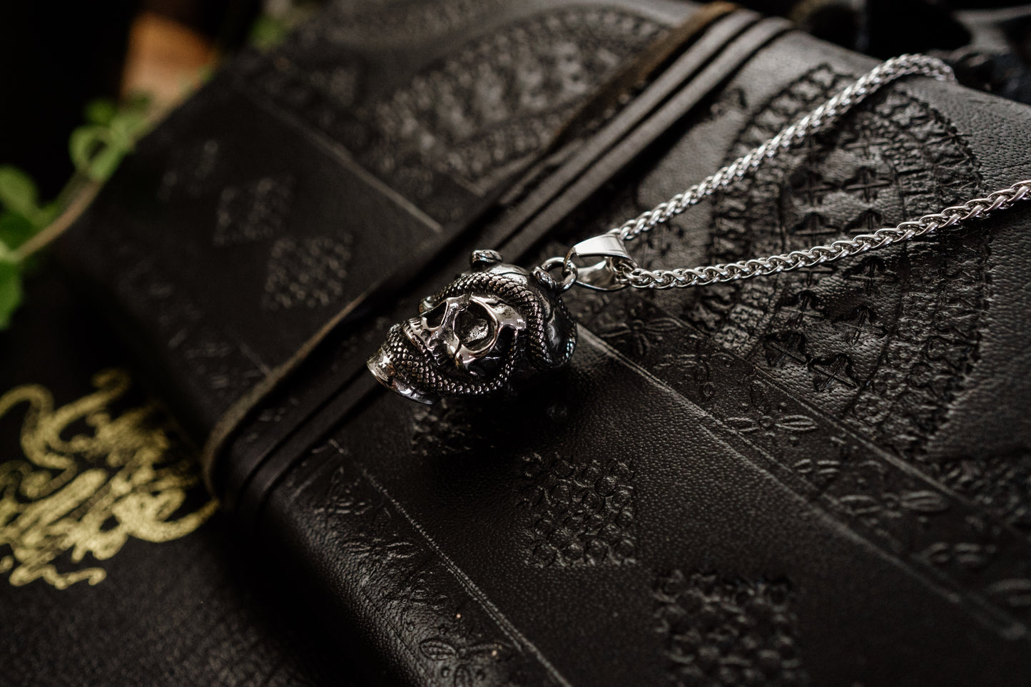 Venomshroud – Detailed Snake and Skull Necklace in Stainless Steel