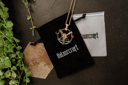 Occult Ram Skull Pentagram Pendant Necklace