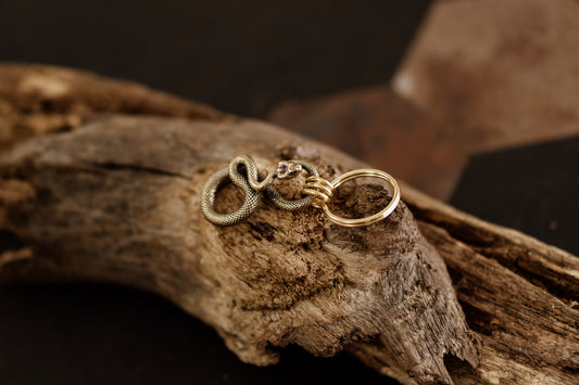 The Serpent's Coil Bundle