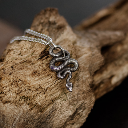 Dark Silver Coiled Serpent Pendant Necklace