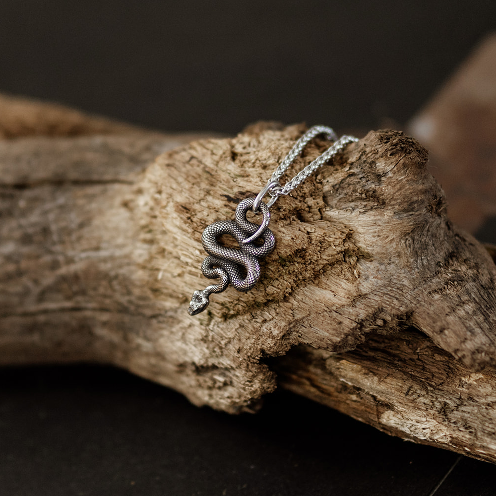 Dark Silver Coiled Serpent Pendant Necklace